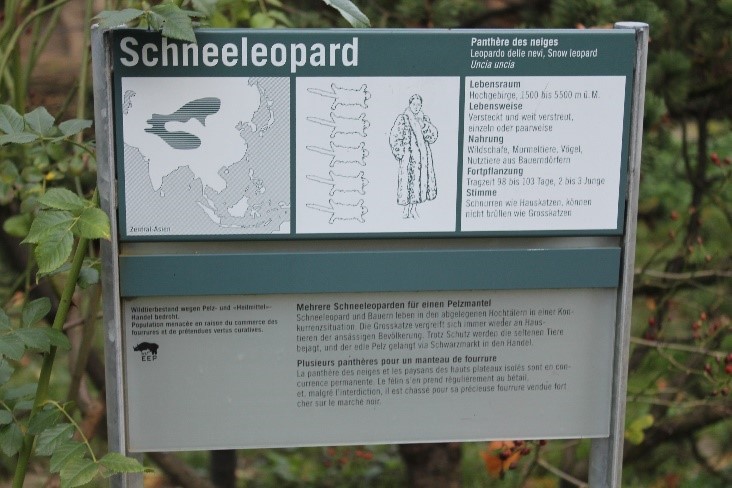 Zoo Basel Informationsschild Schneeleopard, Foto von: Gabriele Scognamiglio